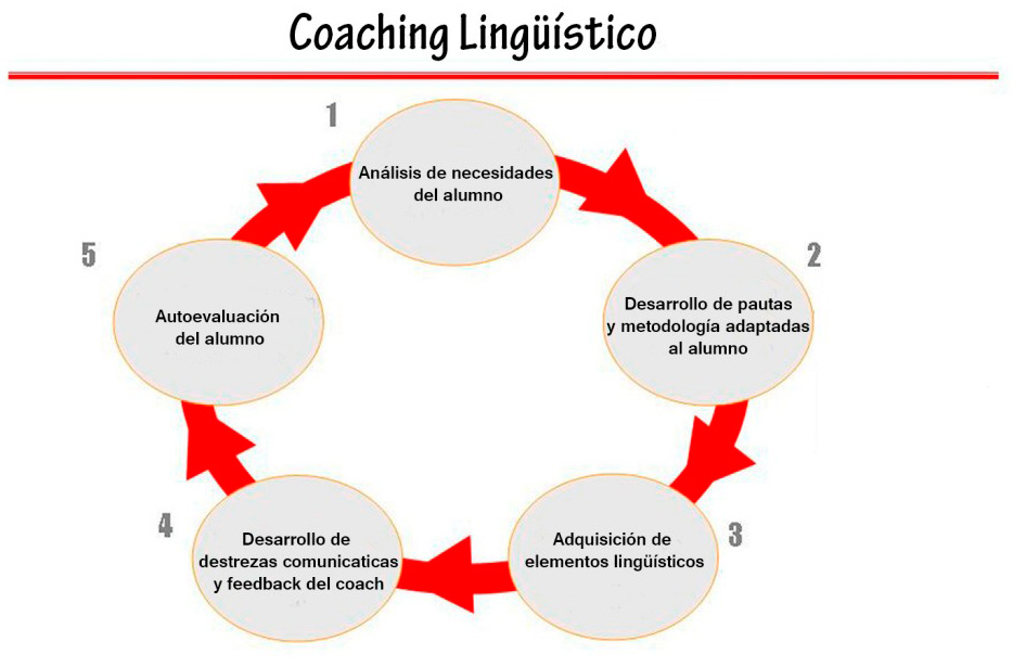 Lingua Coaching coaching lingüístico