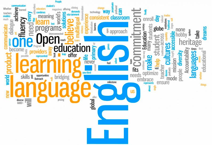 Lingua Coaching cursos extensivos